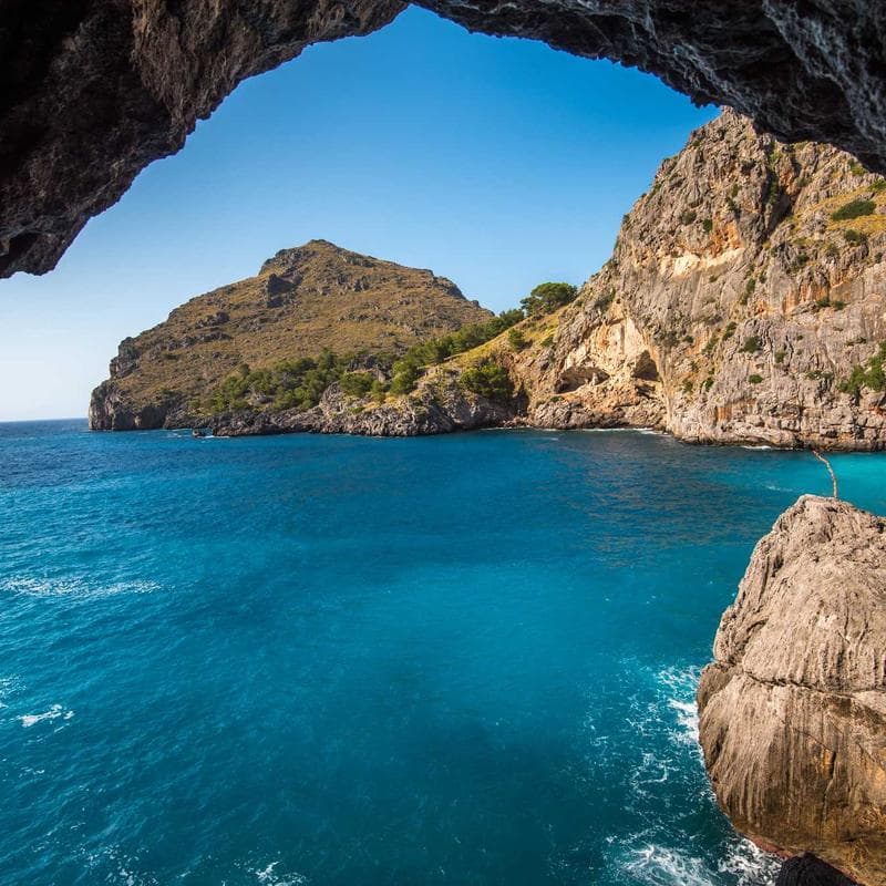 Enantato de Testosterona 250 mg/ml