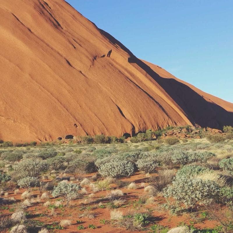 Ômega 3 1000 mg Softgels