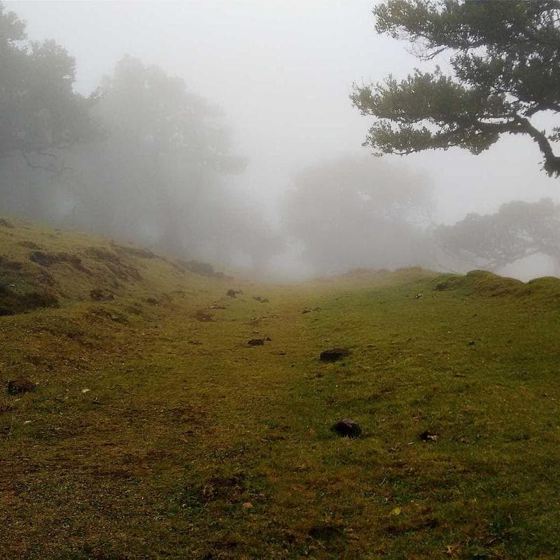 Sildenafil 50 mg Comprimidos