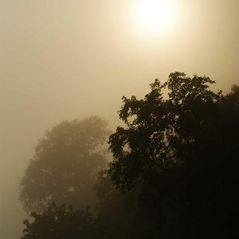 Tamoxifeno 20 mg Comprimidos